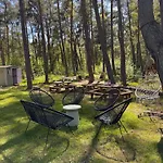 Sekwoja Dziwnów