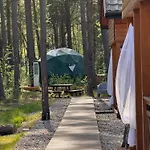 Sekwoja * Dziwnów