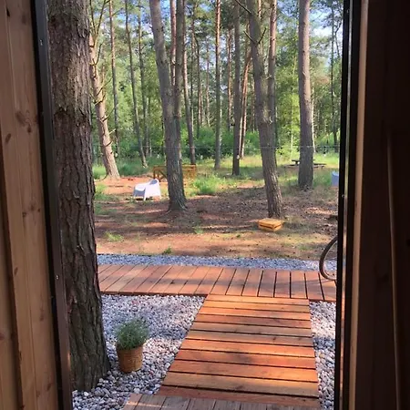Sekwoja Dziwnów