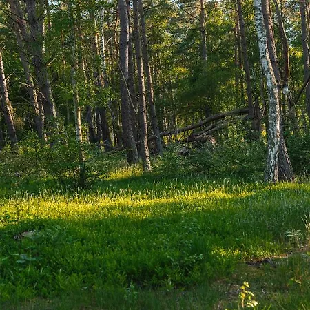 Sekwoja Casa vacanze Dziwnów