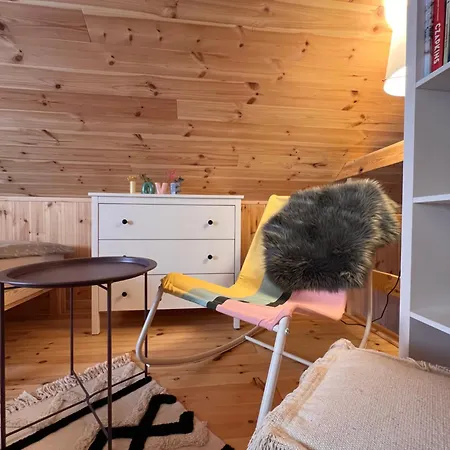 Sekwoja Dziwnów