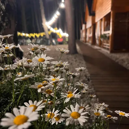 Sekwoja Casa vacanze *